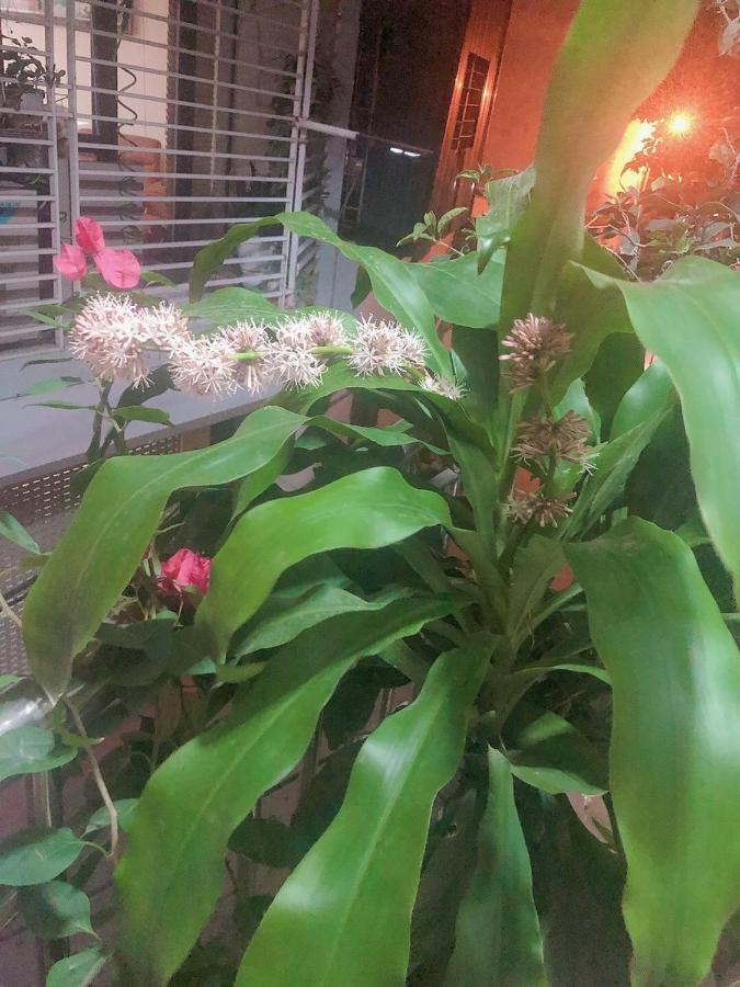 Li Homestay 134 Tran Binh, My Dinh, Nam Tu Liem, Ha Noi ฮานอย ภายนอก รูปภาพ
